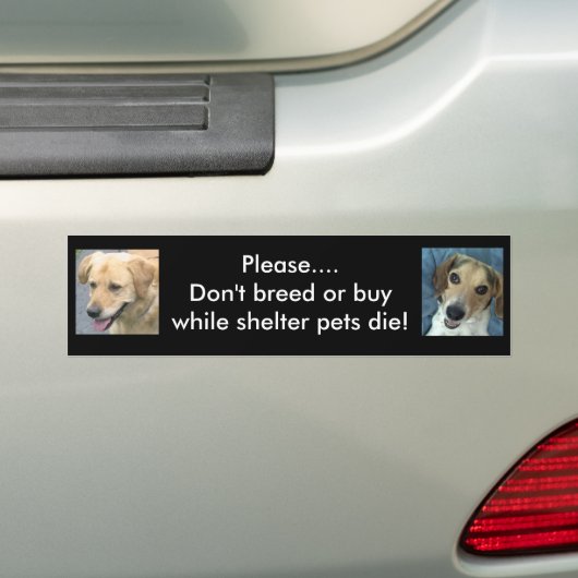 Bo & Stan bumper sticker (Op auto)