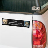 Bo & Stan bumper sticker (Op Truck)