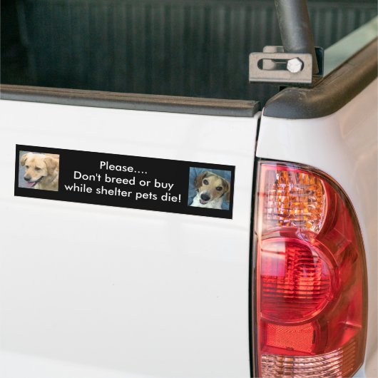 Bo & Stan bumper sticker (Op Truck)