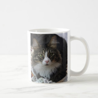 Boa Cat Koffiemok