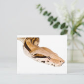 Boa Constrictor Briefkaart (Staand voorkant)
