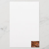 Boa Constrictor Briefpapier (Voorkant)