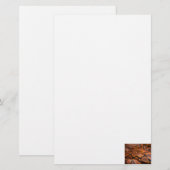 Boa Constrictor Briefpapier (Voorkant / Achterkant)