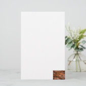 Boa Constrictor Briefpapier (Staand voorkant)