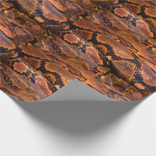 Boa Constrictor Cadeaupapier (Hoek)