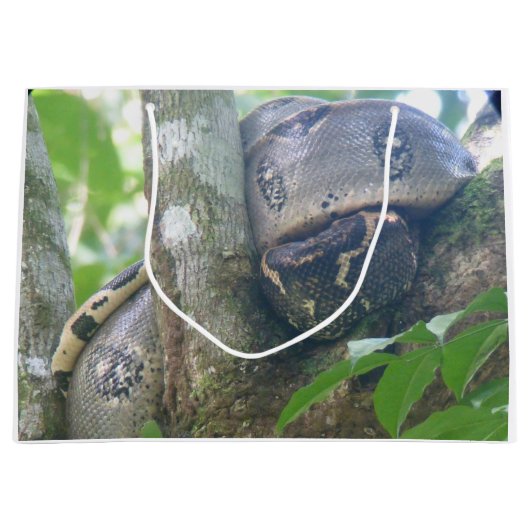 Boa Constrictor Cadeautas (Voorkant)