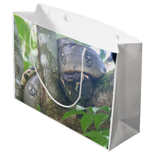 Boa Constrictor Cadeautas (Achterkant Gekanteld)