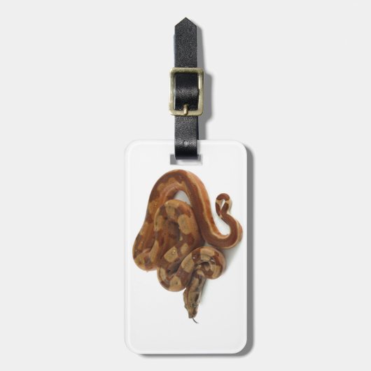 Boa Constrictor Coiled, flikkerende tong Bagagelabel (Voorkant verticaal)