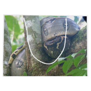 Boa Constrictor Gift Bag Groot Cadeauzakje