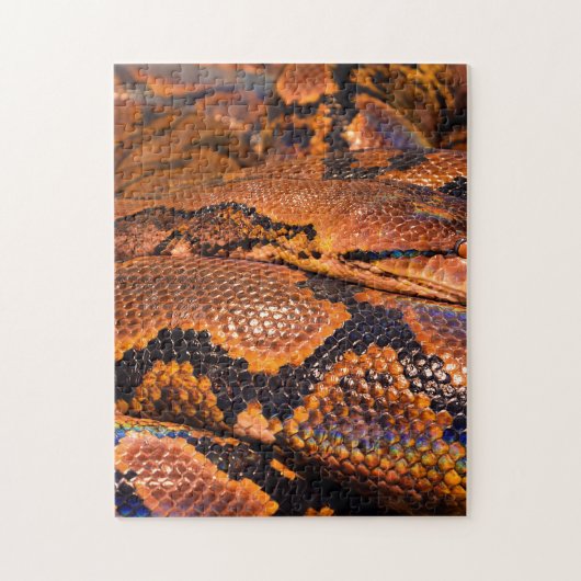 Boa Constrictor Legpuzzel (Verticaal)