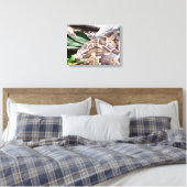 Boa constrictor reptiel canvas afdruk (Insitu (Slaapkamer))
