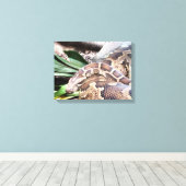Boa constrictor reptiel canvas afdruk (Insitu (Houten vloer))