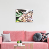Boa constrictor reptile canvas afdruk (Insitu (Woonkamer))