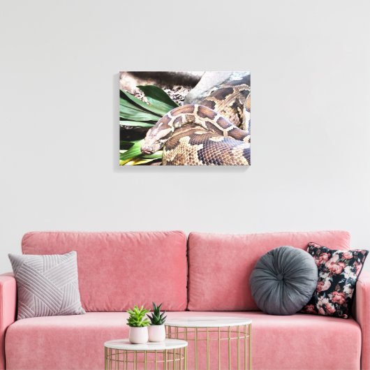 Boa constrictor reptile canvas afdruk (Insitu (Woonkamer))