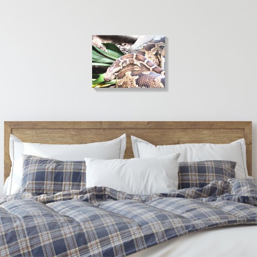 Boa constrictor reptile canvas afdruk (Insitu (Slaapkamer))