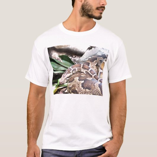 Boa constrictor t-shirt (Voorkant)