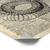 Boa Snake Skeleton Dictionary Page Art Poster (Hoek)