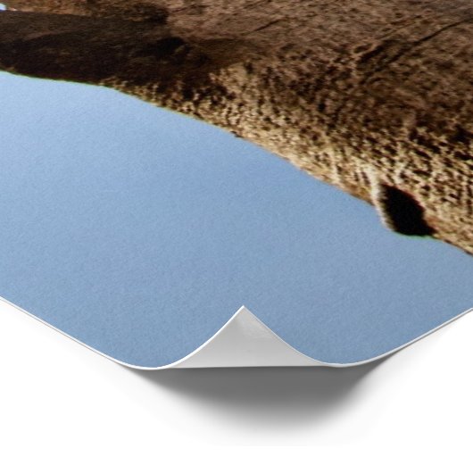 BOAB TREE POSTER (Hoek)