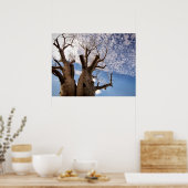 BOAB TREE POSTER (Keuken)