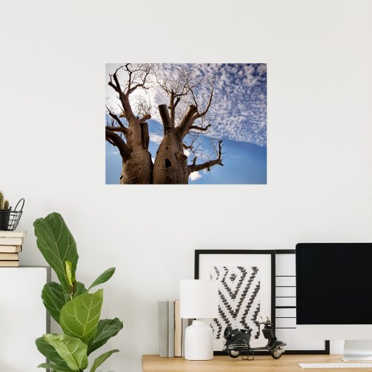 BOAB TREE POSTER (Thuiskantoor)