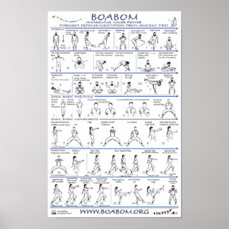 Boabom: Defensie-Meditatie uit het oude Tibet Poster