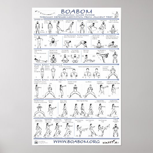 Boabom: Defensie-Meditatie uit het oude Tibet Poster (Voorkant)