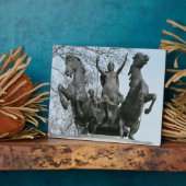 Boadicea, 1850 s (bronzen) (zie ook 33580) fotoplaat (Zijkant)