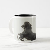 Boadicea, 1902 tweekleurige koffiemok (Voorkant links)