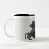 Boadicea, 1902 tweekleurige koffiemok (Links)