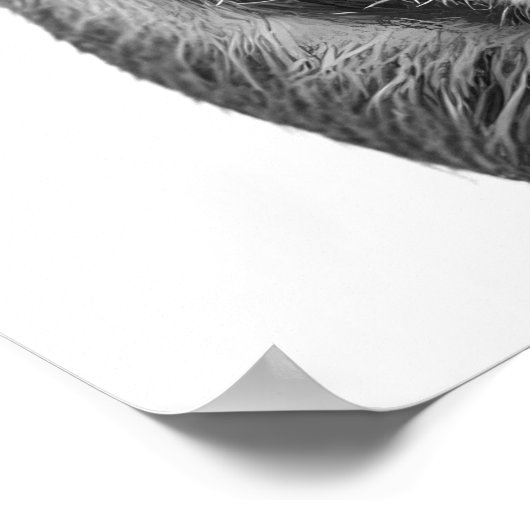 Boar Pig Woodland Modern Portret zwart wit Poster (Hoek)