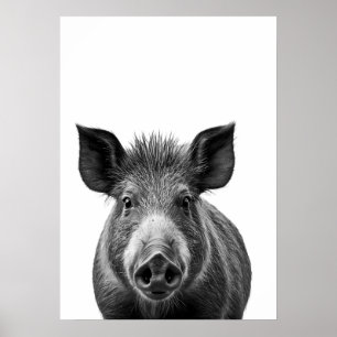 Boar Pig Woodland Modern Portret zwart wit Poster