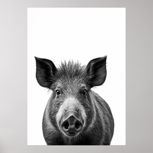 Boar Pig Woodland Modern Portret zwart wit Poster (Voorkant)
