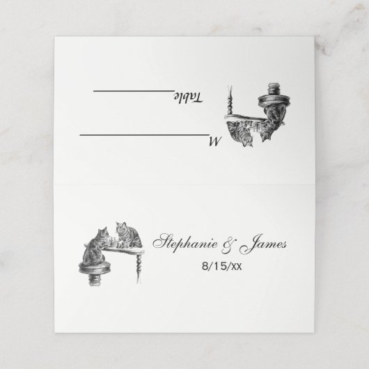 Board Games: twee katten die een Chess Match spele Plaatskaartje (Buitenkant ongevouwen)