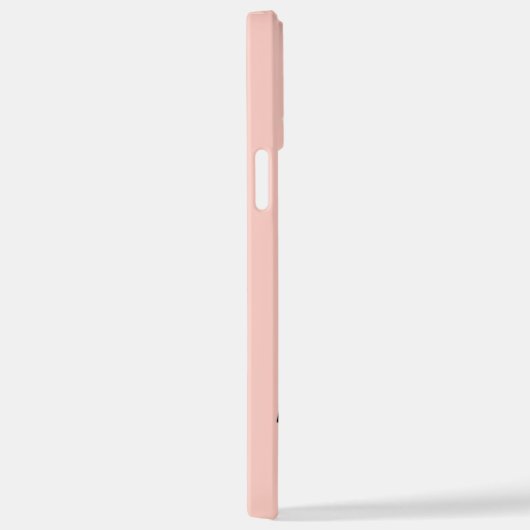 BOARDING PASS ASUNCION PARAGUAY iPhone HOESJE (Rechterkant)