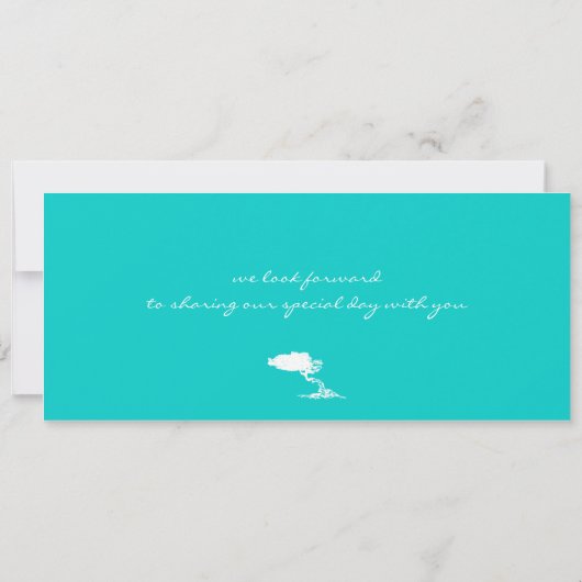 Boarding Pass to Aruba Wedding Invitation Kaart (Achterkant)