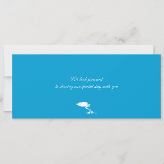 Boarding Pass to Aruba Wedding Invitation Kaart (Achterkant)