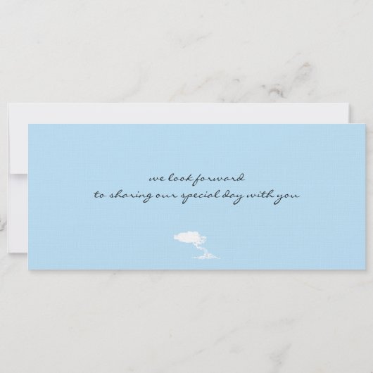 Boarding Pass to Aruba Wedding Invitation Kaart (Achterkant)