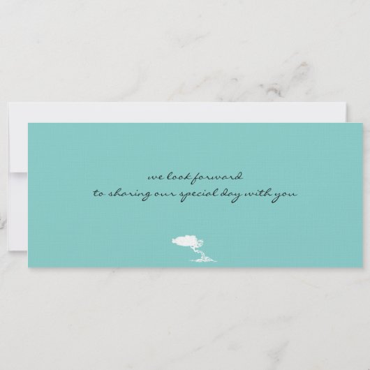 Boarding Pass to Aruba Wedding Invitation Save The Date (Achterkant)