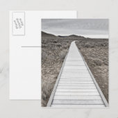 Boardwalk door de woestijn briefkaart (Voorkant / Achterkant)