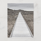 Boardwalk door de woestijn briefkaart (Voorkant)