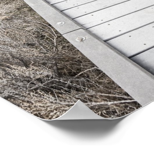 Boardwalk door de woestijn poster (Hoek)