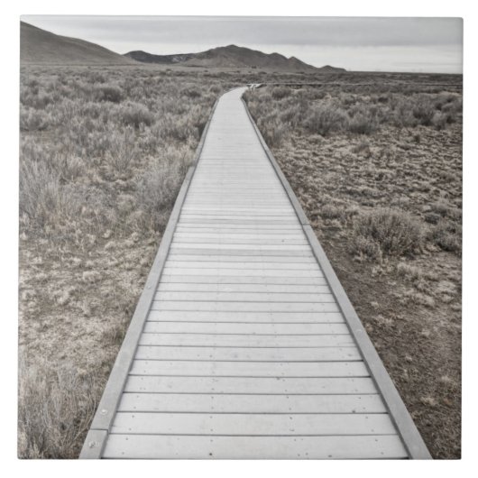 Boardwalk door de woestijn tegeltje (Voorkant)
