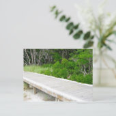 Boardwalk in Davis Park Briefkaart (Staand voorkant)