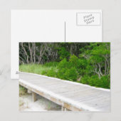 Boardwalk in Davis Park Briefkaart (Voorkant / Achterkant)