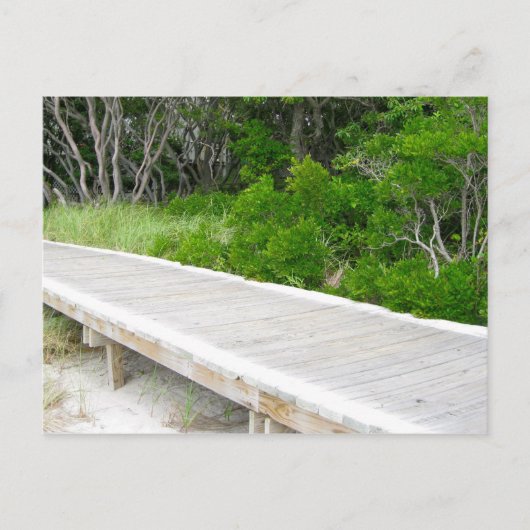 Boardwalk in Davis Park Briefkaart (Voorkant)