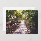 Boardwalk in Davis Park op Fire is dat. Briefkaart (Voorkant / Achterkant)