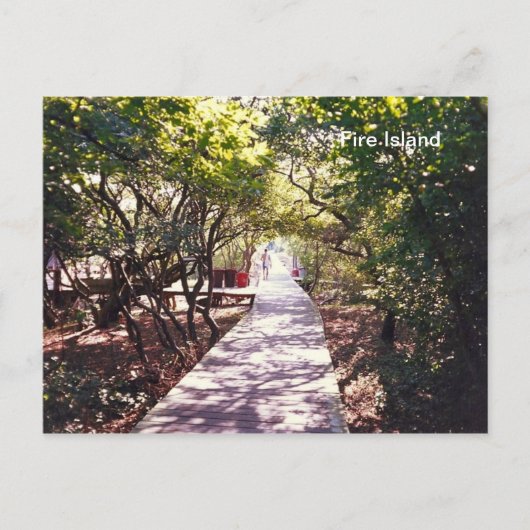 Boardwalk in Davis Park op Fire is dat. Briefkaart (Voorkant)