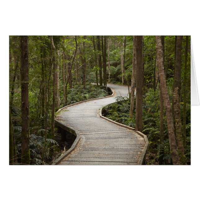 Boardwalk naar Nelson Falls, Franklin - Gordon (Voorkant Horizontaal)