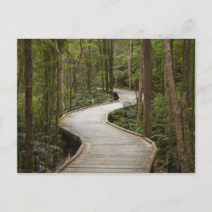 Boardwalk naar Nelson Herfsten, Franklin - Gordon Briefkaart