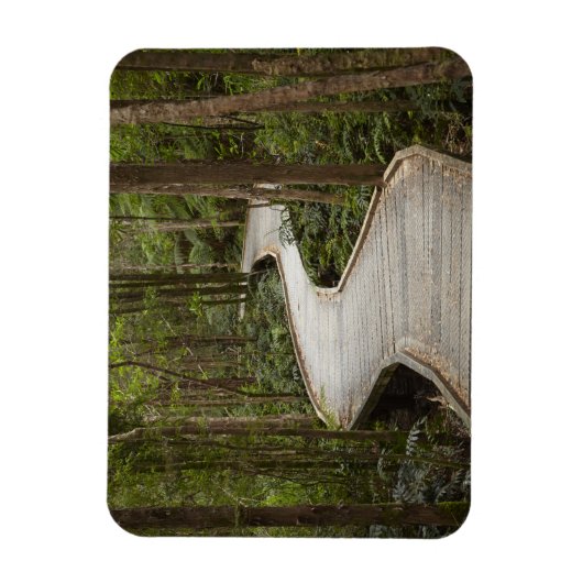 Boardwalk naar Nelson Herfsten, Franklin - Gordon Magneet (Verticaal)